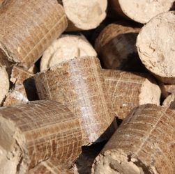 pellet