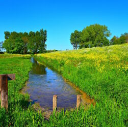 zastosowanie melioracji